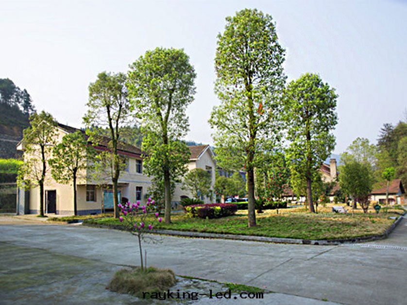 辦(bàn)公(gōng)樓